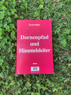 Bild vergr&ouml;&szlig;ern: Dornenpfad und Himmelsleiter